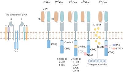Prospects and challenges of CAR-T cell therapy combined with ICIs